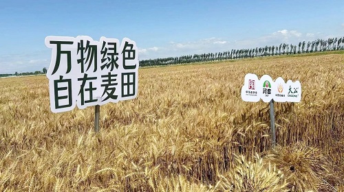 微信图片_20240718084622.jpg