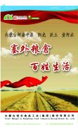 恒丰报纸105期-8版