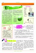 恒丰报纸109-6期
