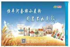 恒丰报纸111-8期