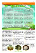 恒丰报纸111-7期