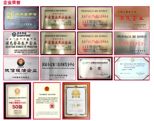 企业荣誉